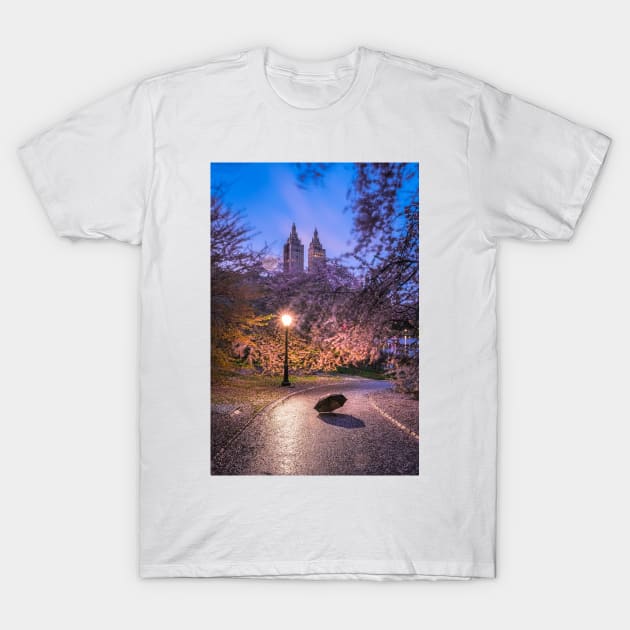 Central Park Spring Rainy 3 T-Shirt by igjustin